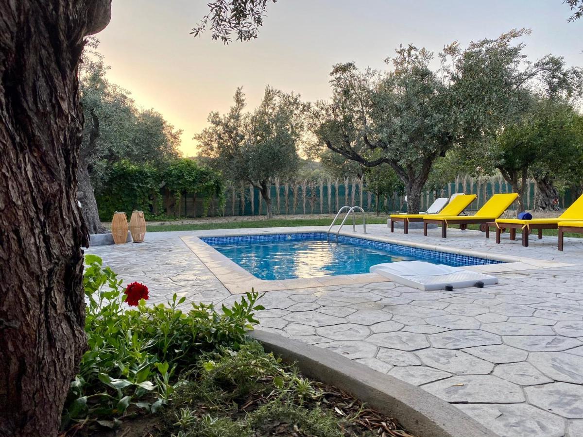 Olive Sense Villa Afandou Exterior foto