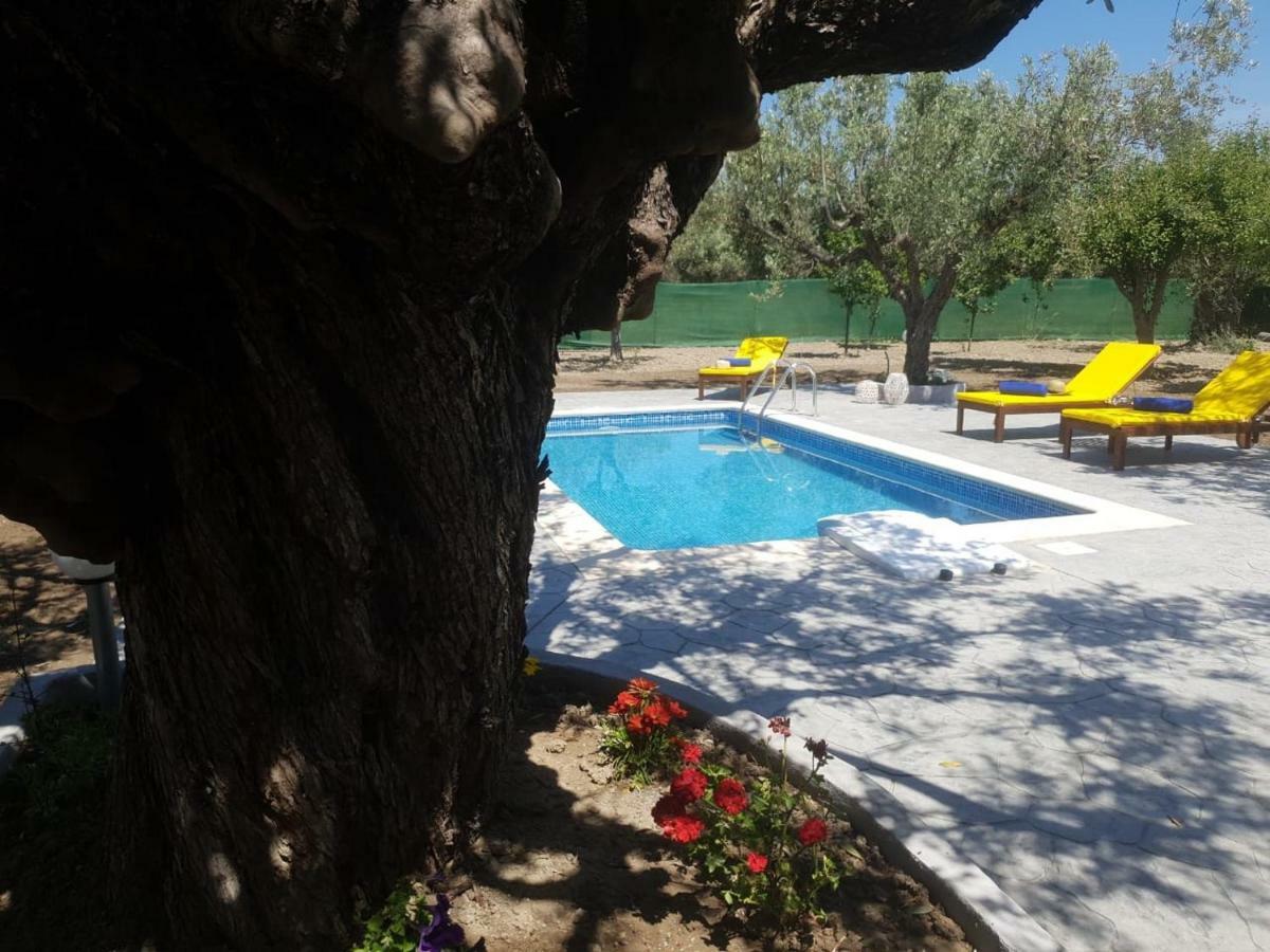 Olive Sense Villa Afandou Exterior foto